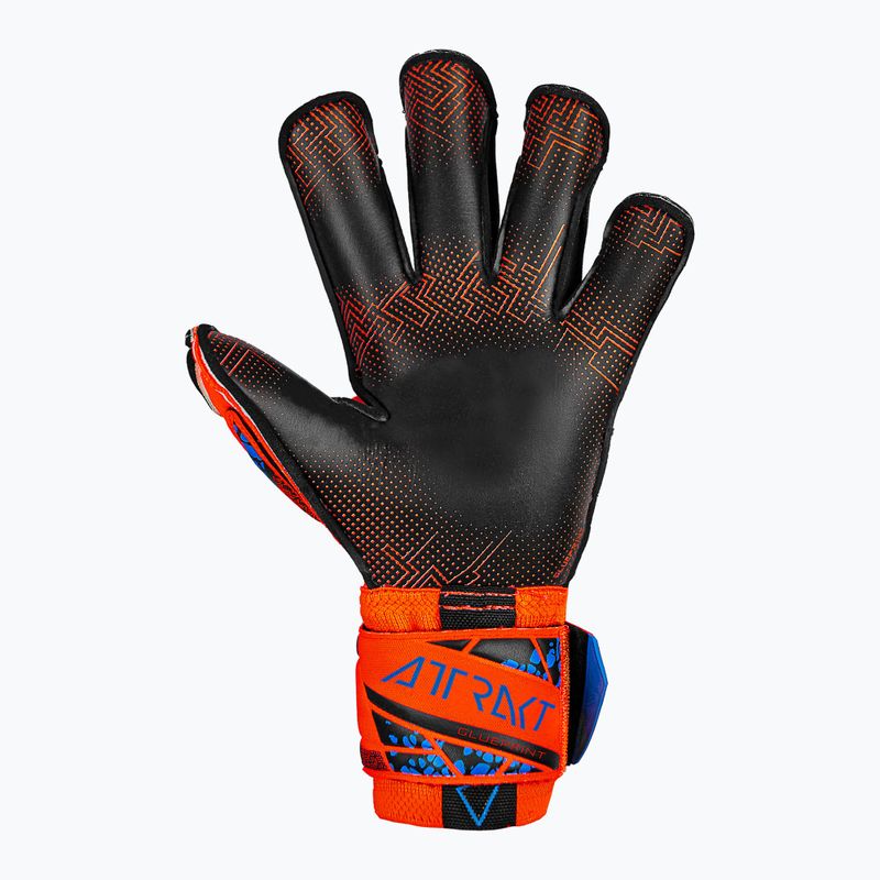 Reusch Attrakt Gold X Evolution GluePrint Torwarthandschuhe hyper orng/elec blau/blck 3