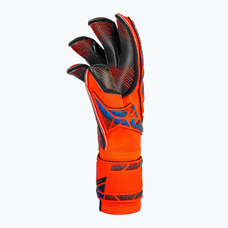 Reusch Attrakt Gold X Evolution GluePrint Torwarthandschuhe hyper orng/elec blau/blck 4