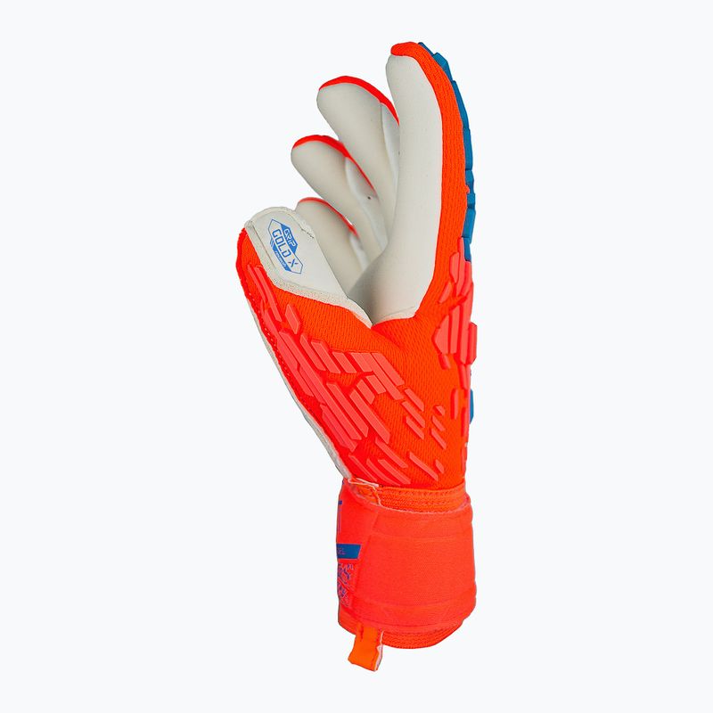 Reusch Attrakt Gold X Freegel Torwarthandschuh hyper orange/elektrisch blau 4