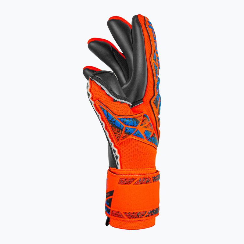 Reusch Attrakt Duo Torwarthandschuh hyper orange/elektrisch blau/schwarz 4