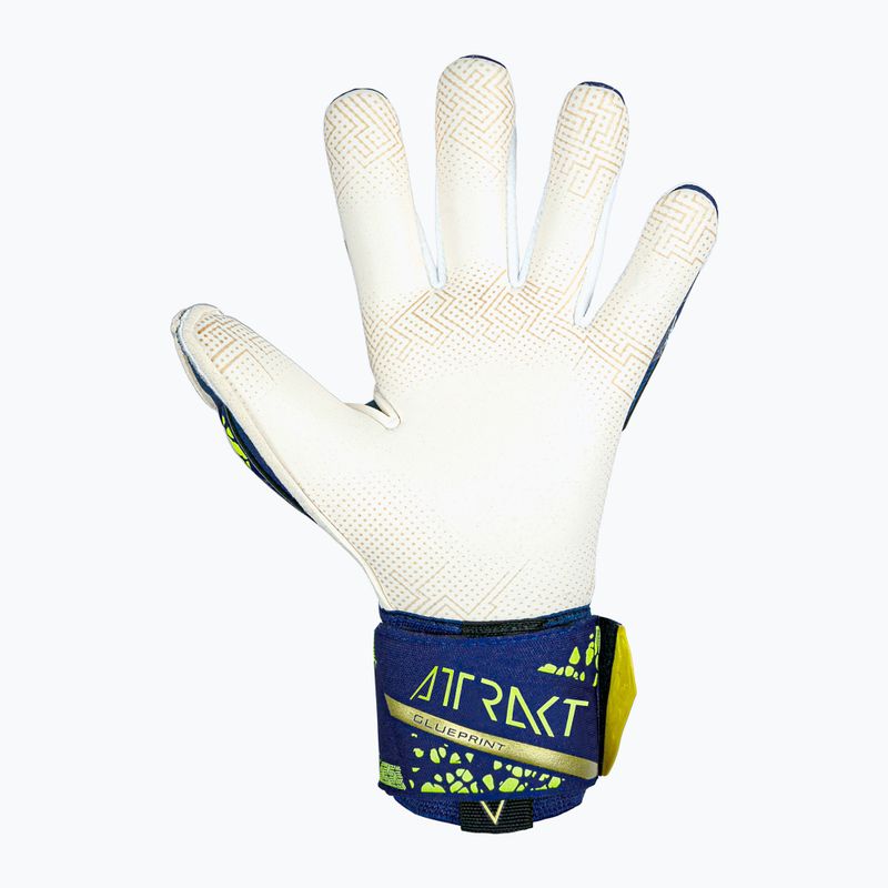 Reusch Attrakt Gold X GluePrint Premium Torwarthandschuhe blau/gold 3