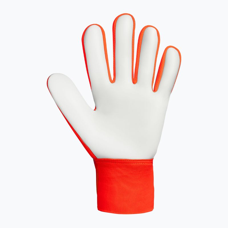 Torwarthandschuhe Reusch Attrakt Starter Solid shocking orange/blue 3