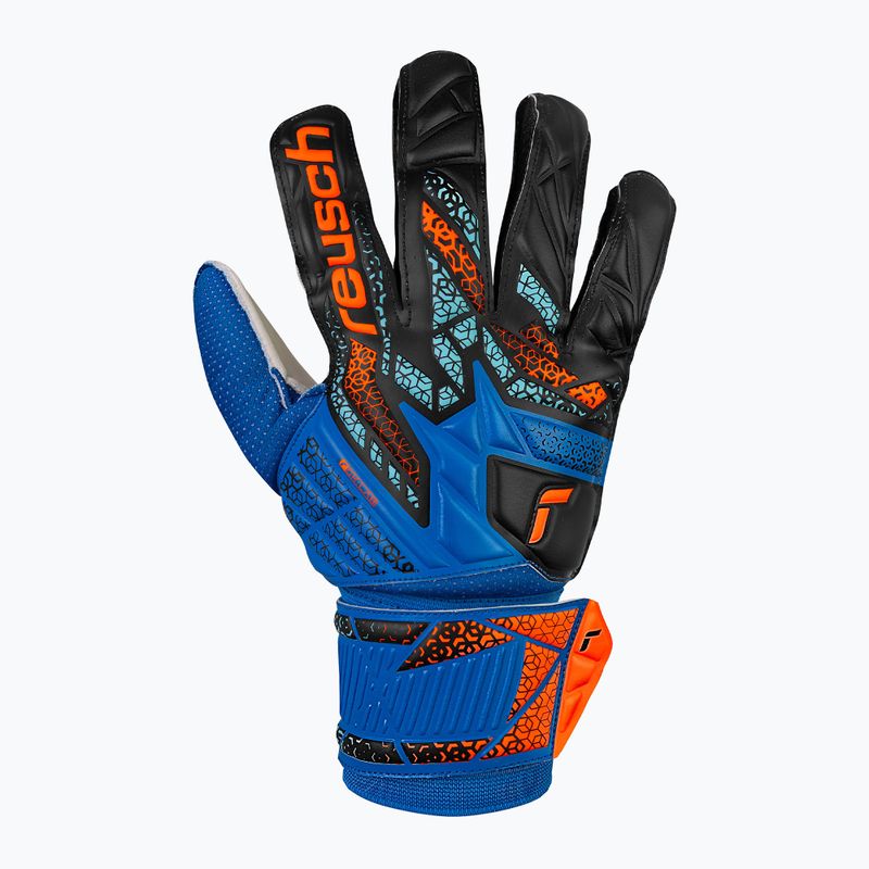 Torwarthandschuhe Reusch Attrakt Solid electric blue/shocking orange 2