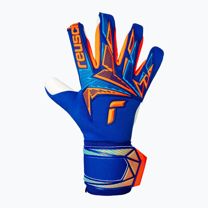 Torwarthandschuhe Reusch Attrakt Freegel Advance sharp blue/shocking orange 2