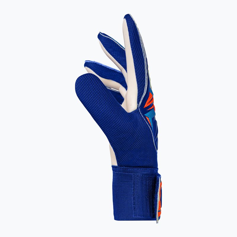 Kinder-Torwarthandschuhe Reusch Attrakt Starter Solid Junior sharp blue/white/shocking orange 4