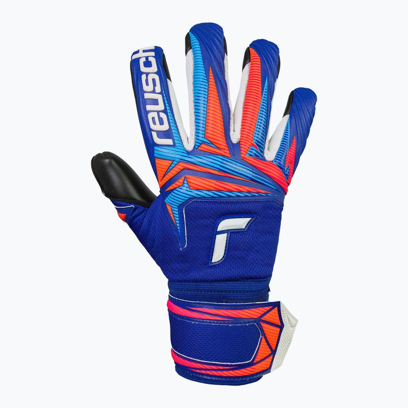 Torwarthandschuhe Reusch Attrakt Infinity Evolution NC sharp blue/shocking orange/black 2