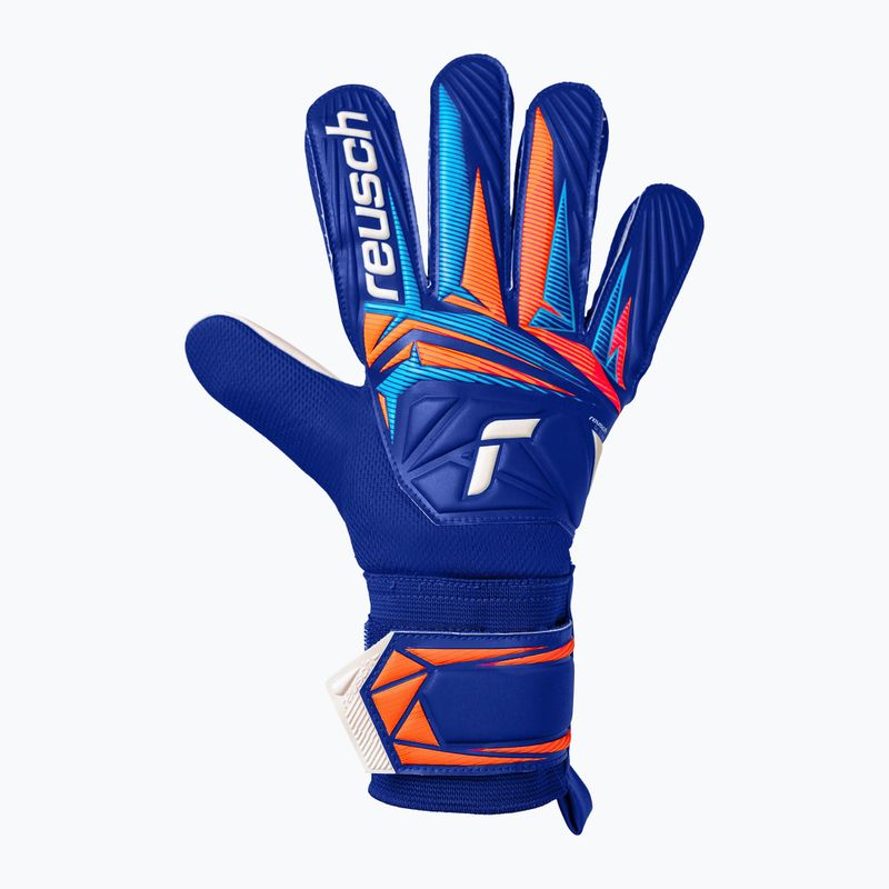 Torwarthandschuhe Reusch Attrakt Starter Solid sharp blue/white/shocking orange 2