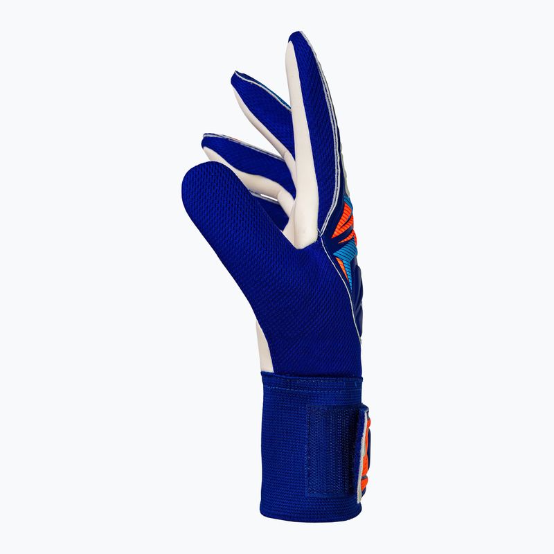 Torwarthandschuhe Reusch Attrakt Starter Solid sharp blue/white/shocking orange 4