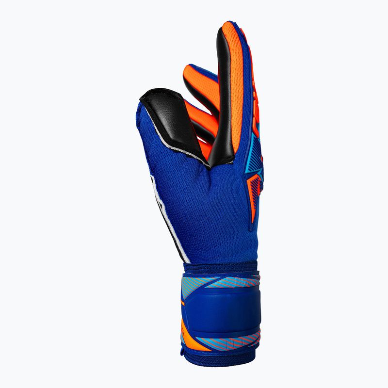 Torwarthandschuhe Reusch Attrakt Freegel Duo NC sharp blue/shocking orange/black 4