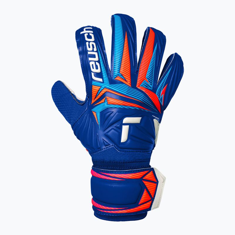 Torwarthandschuhe Reusch Attrakt Solid sharp blue/white/shocking orange 2