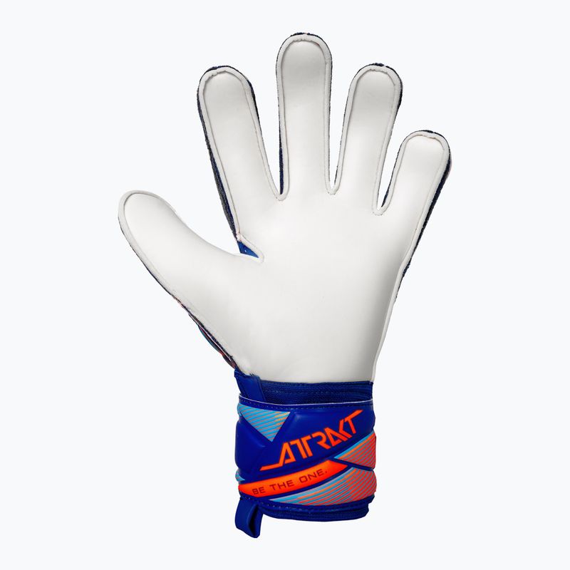 Torwarthandschuhe Reusch Attrakt Solid sharp blue/shocking orange 3