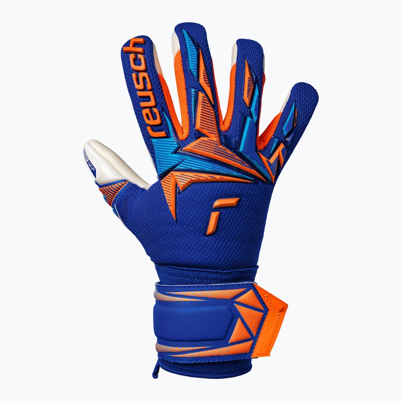 Kinder-Torwarthandschuhe Reusch Attrakt Freegel Advance Junior sharp blue/shocking orange 2