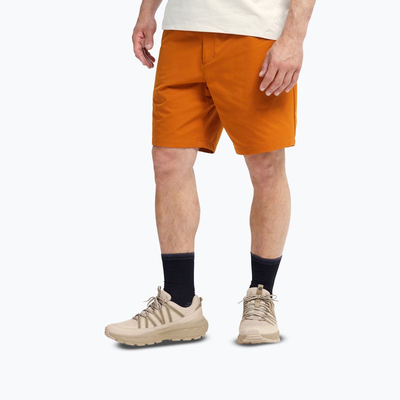 Wanderschuhe Herren Jack Wolfskin Wild Hike Texapore Low oyster 4