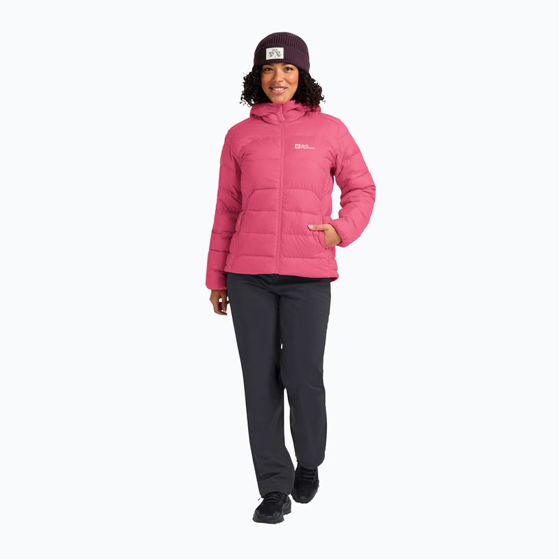 Damen Daunenjacke Jack Wolfskin Ather Down Hoody bubblegum 2