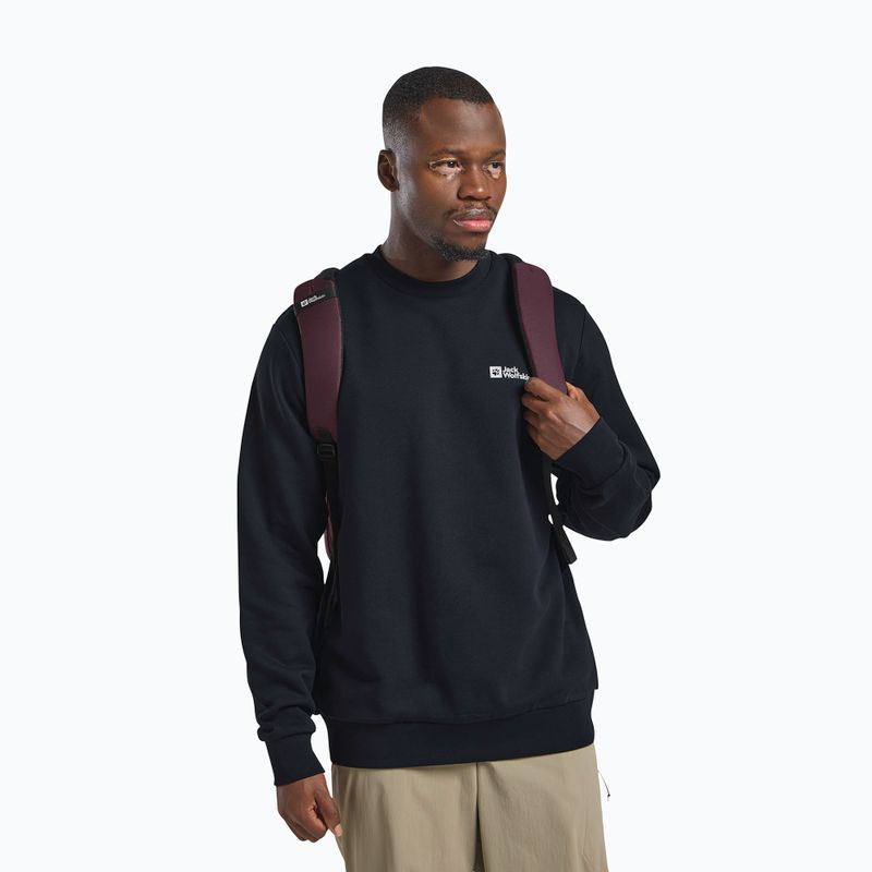 City-Rucksack Jack Wolfskin Terracade 24 l amaranth 11