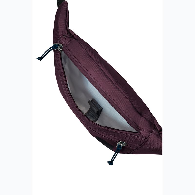 Bauchtasche Jack Wolfskin Konya Hipbag 2 l Amaranth 4