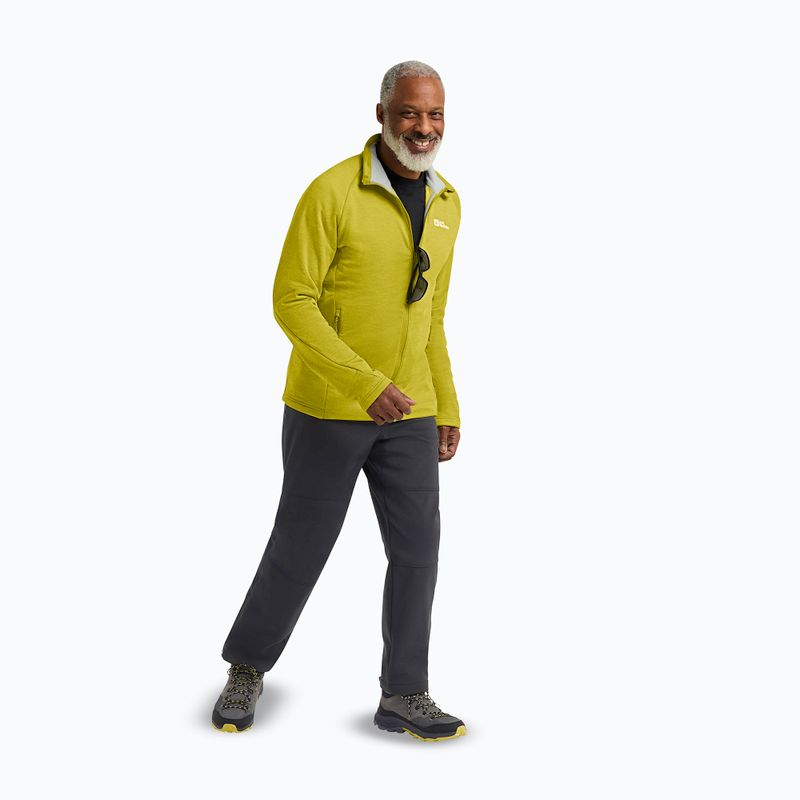 Trekkingschuhe Herren Jack Wolfskin Cyrox Texapore Mid slate 17