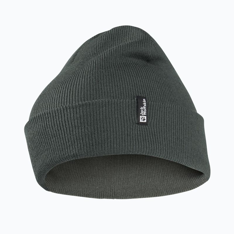 Wintermütze Jack Wolfskin Rib slate green