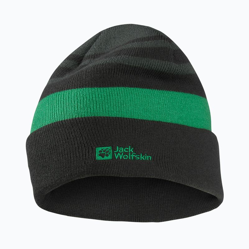 Kinder-Wintermütze Jack Wolfskin Stripy Knit slate green/mystic