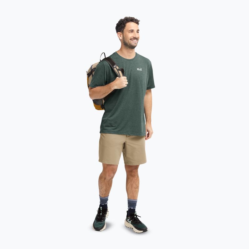 Herren-Trekkingshorts Jack Wolfskin Pico hazel wood 2