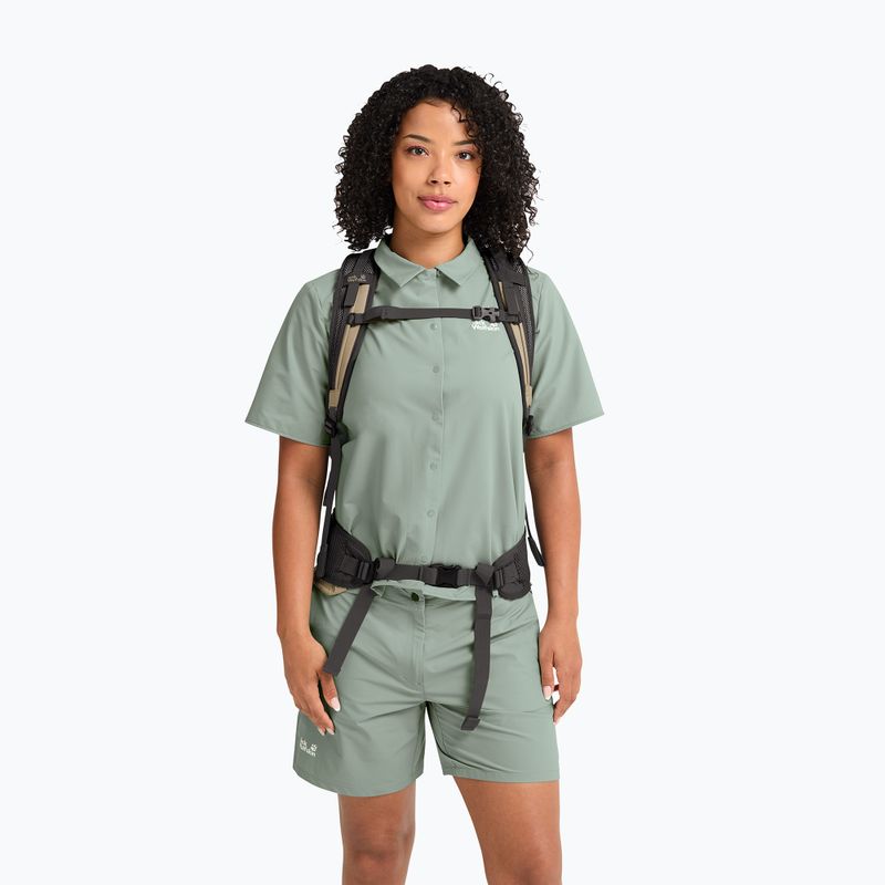 Wanderrucksack Jack Wolfskin Astro Vent 24 l hazel wood 16