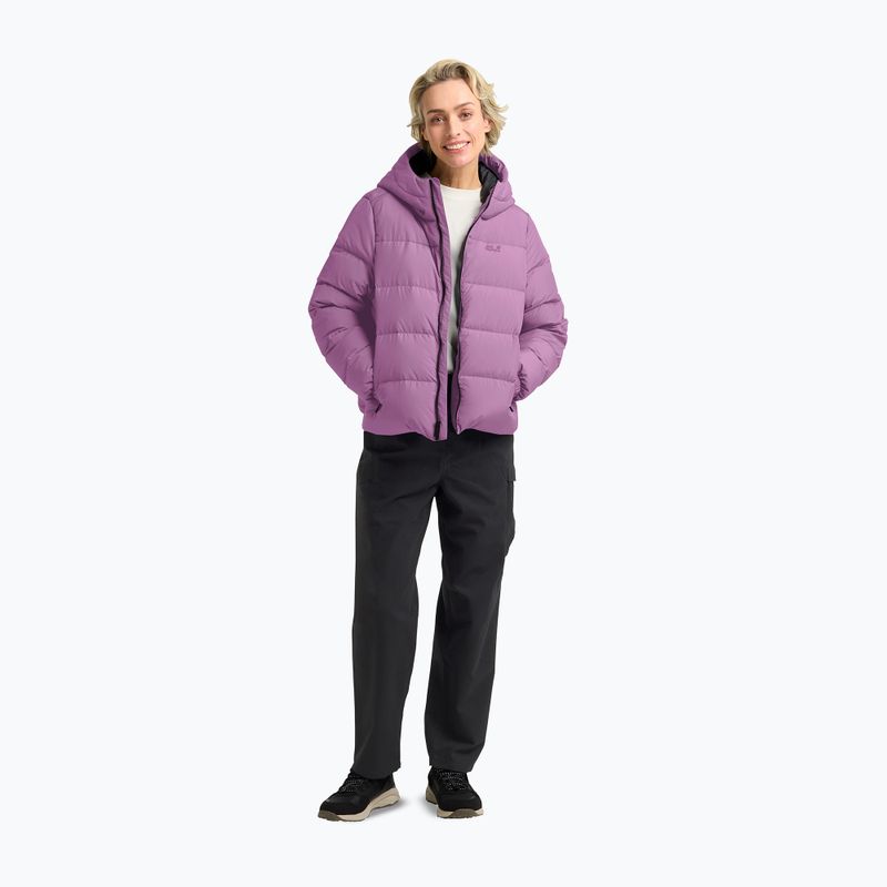 Damen Daunenmantel Jack Wolfskin Frozen Palace vivid orchid 2