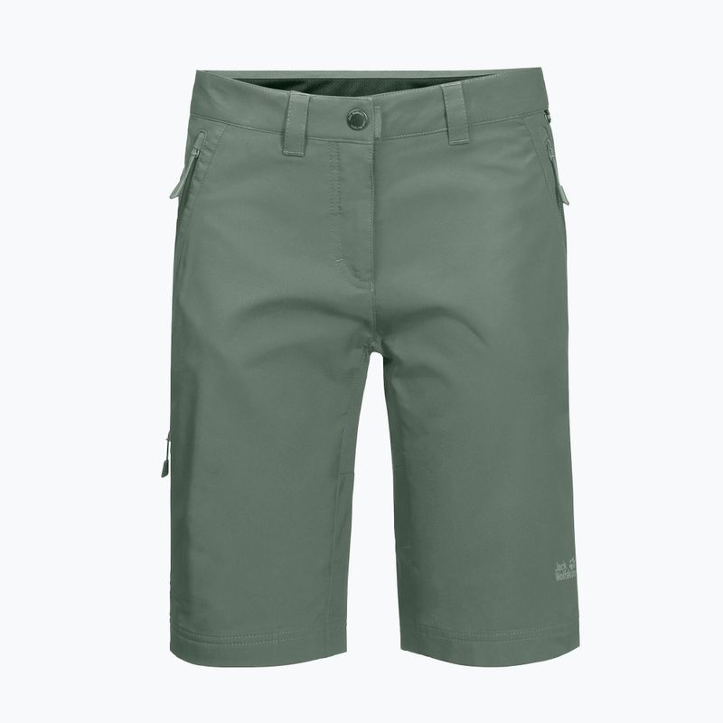 Jack Wolfskin Damen Activate Track Trekkingshorts grün 1503703_4311 7