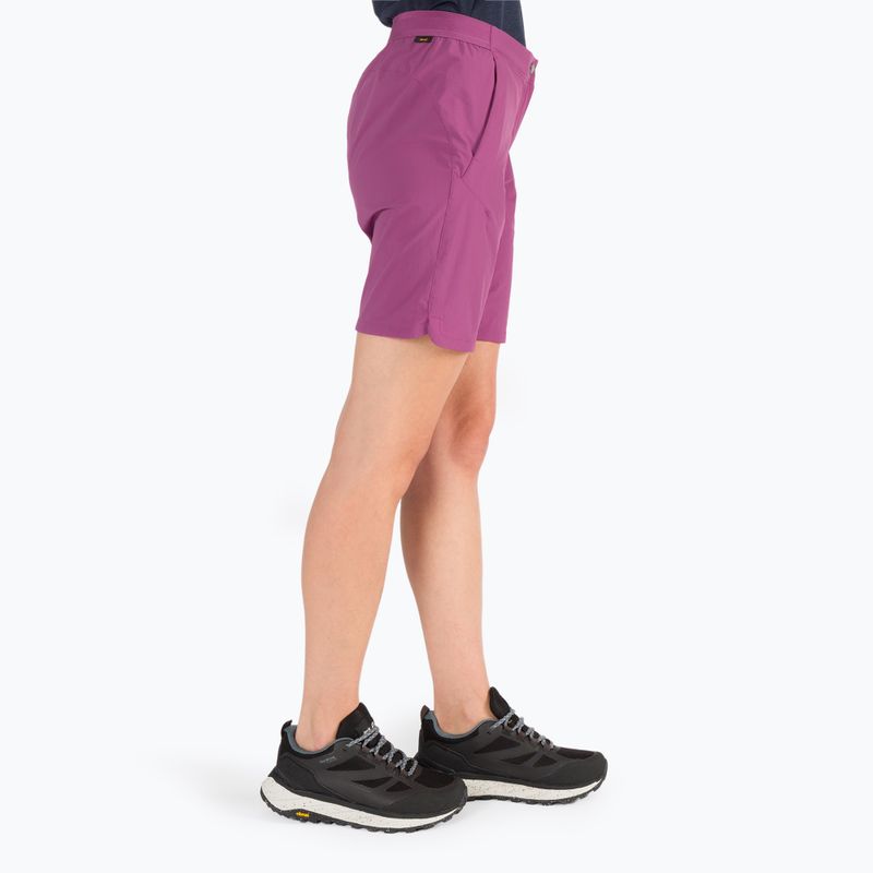 Jack Wolfskin Hilltop Trail Damen-Trekking-Shorts lila 1505461_2094 2