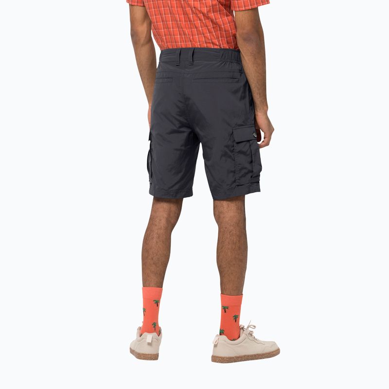 Jack Wolfskin Herren-Trekking-Shorts Canyon Cargo grau 1504201_6168 2