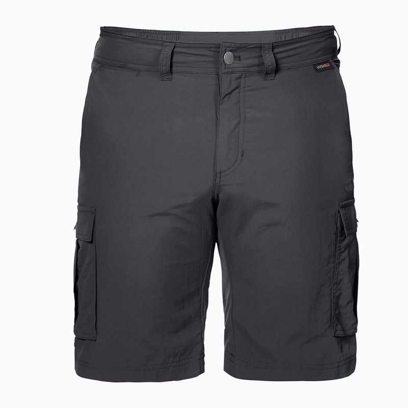 Jack Wolfskin Herren-Trekking-Shorts Canyon Cargo grau 1504201_6168 5