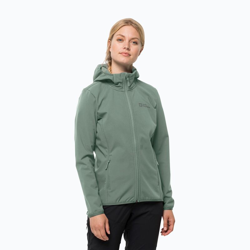 Damen Softshelljacke Jack Wolfskin Bornberg Hoody grün 1307691