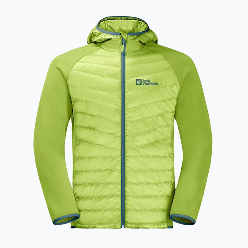 Jack Wolfskin Herren Routeburn Pro Hybrid Jacke grün 1710511 9