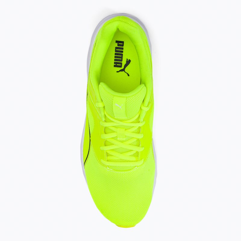 Laufschuhe Herren PUMA Transport grün 37728 1 6