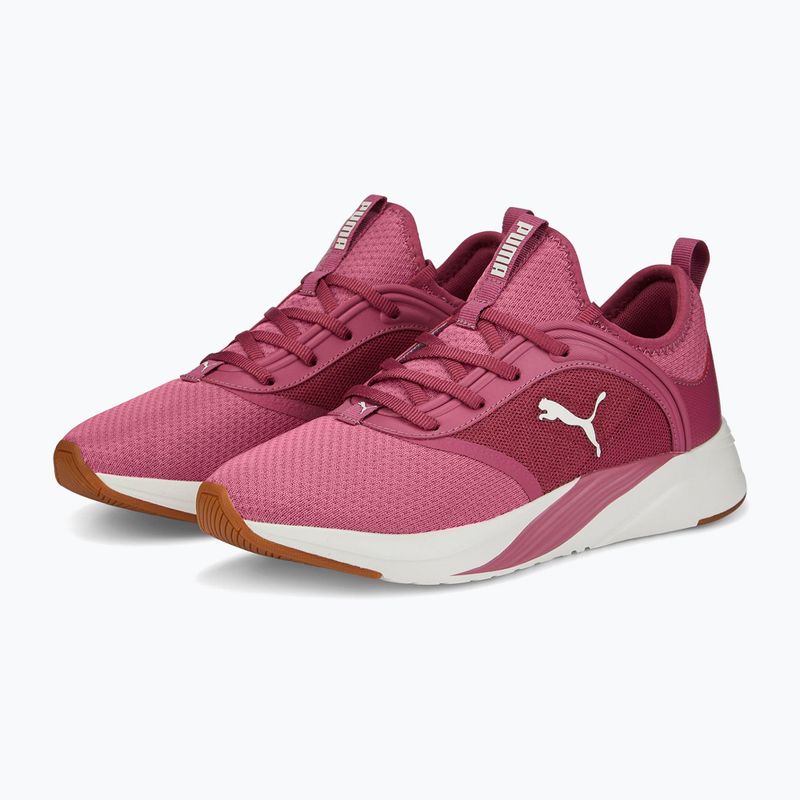 Damen Laufschuhe PUMA Softride Ruby rosa 377050 04 11