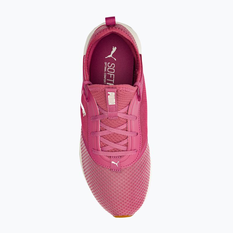 Damen Laufschuhe PUMA Softride Ruby rosa 377050 04 6