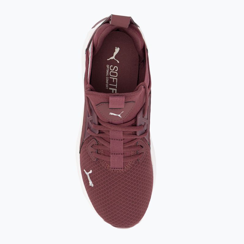 Damen Laufschuhe PUMA Softride Enzo Nxt kastanienbraun 195235 17 6