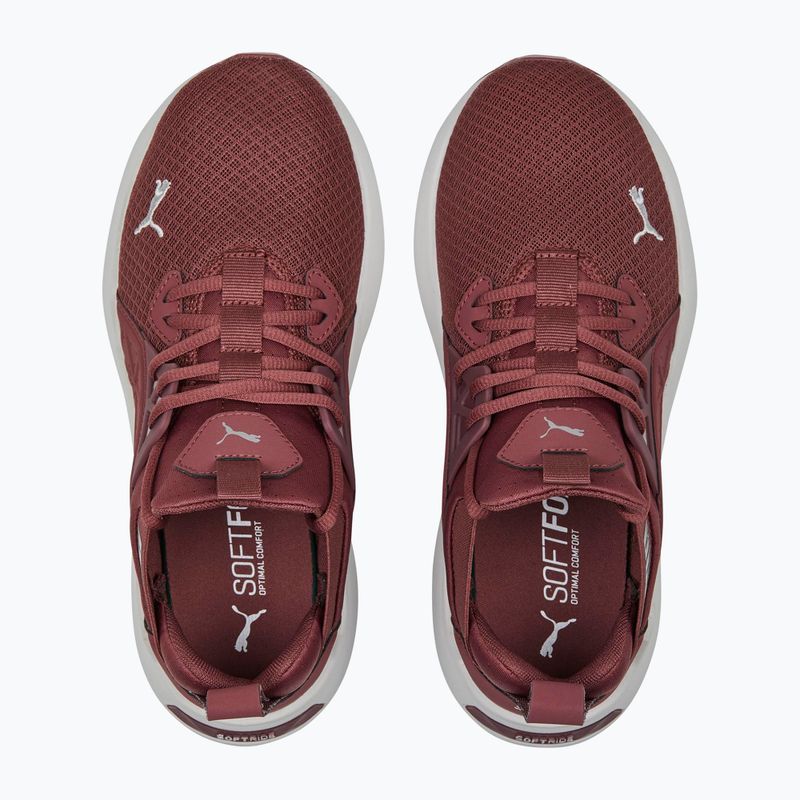 Damen Laufschuhe PUMA Softride Enzo Nxt kastanienbraun 195235 17 14