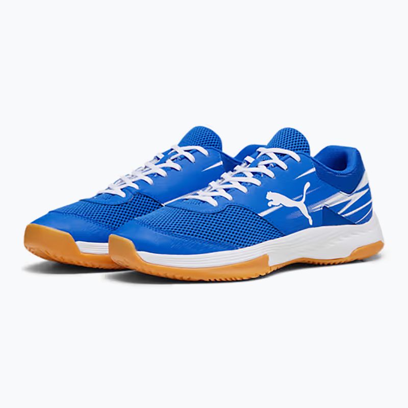 Herren-Hallensportschuhe PUMA Varion II puma team royal/puma weiß/gum 8