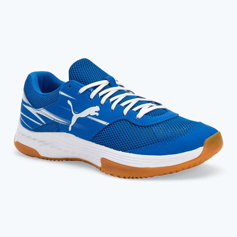 Herren-Hallensportschuhe PUMA Varion II puma team royal/puma weiß/gum