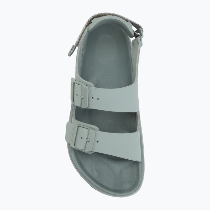 Birkenstock Sandalen Mogami Terra TEC LOOP Birko-Flor Regular apex pure sage 5