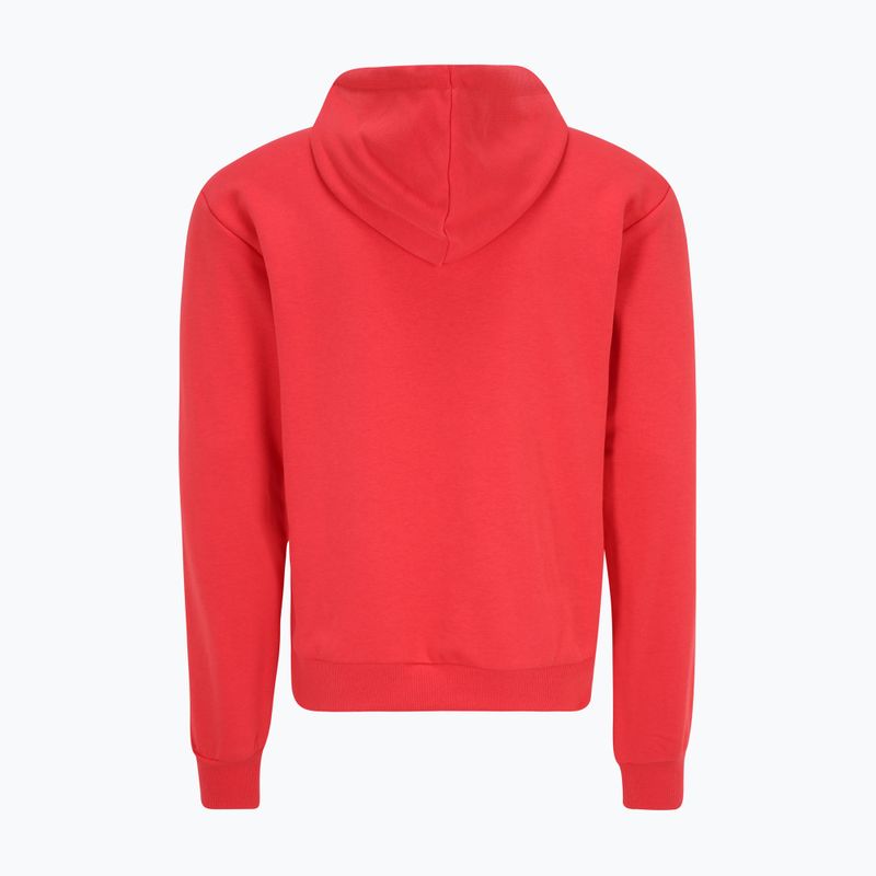 Herren Hoodie Sweatshirt FILA Bengel Regular Hoody cayenne 6