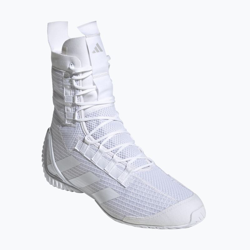 Boxen Schuhe adidas Speedex 23 Wolke weiß/Wolke weiß/grau ein