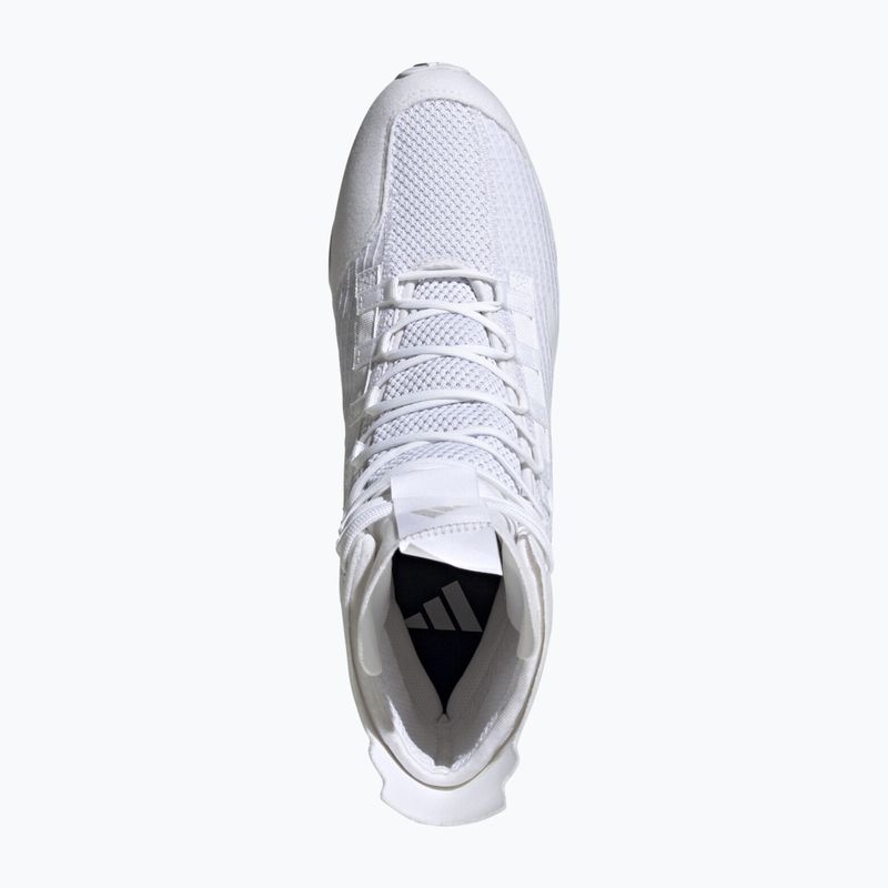 Boxen Schuhe adidas Speedex 23 Wolke weiß/Wolke weiß/grau ein 4
