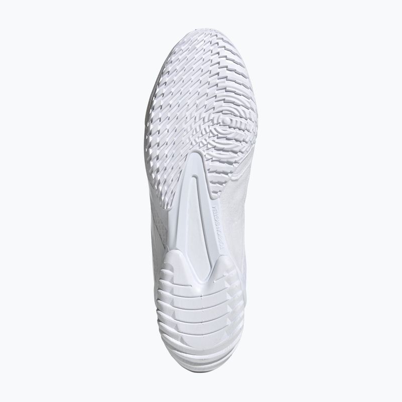 Boxen Schuhe adidas Speedex 23 Wolke weiß/Wolke weiß/grau ein 5