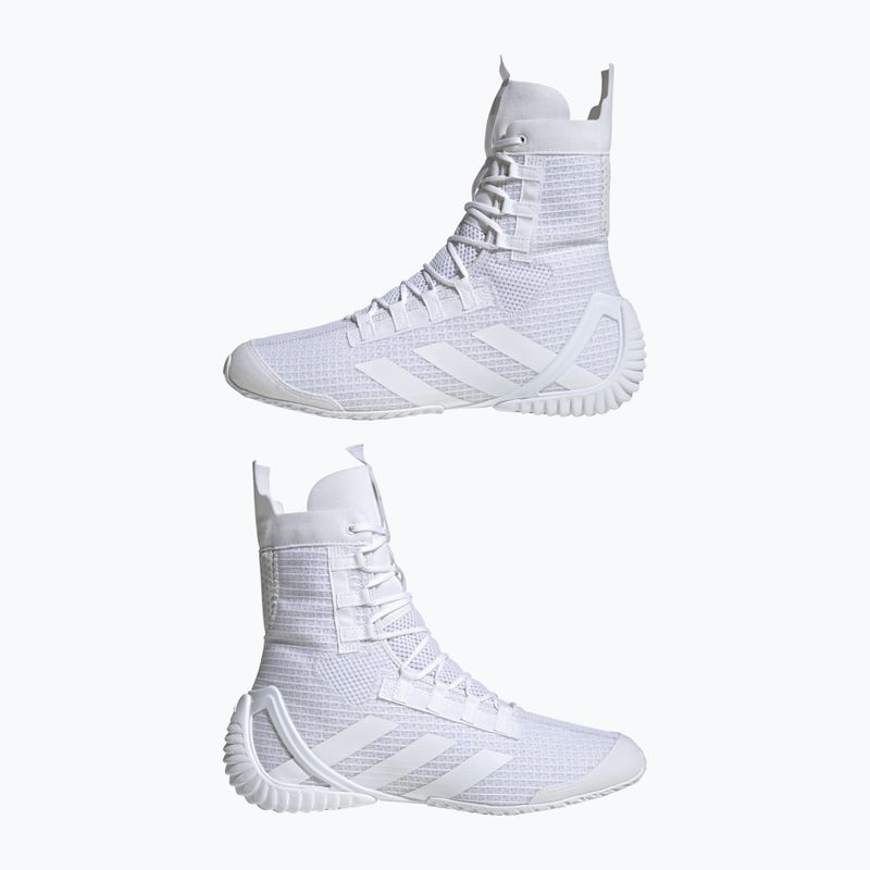 Boxen Schuhe adidas Speedex 23 Wolke weiß/Wolke weiß/grau ein 8