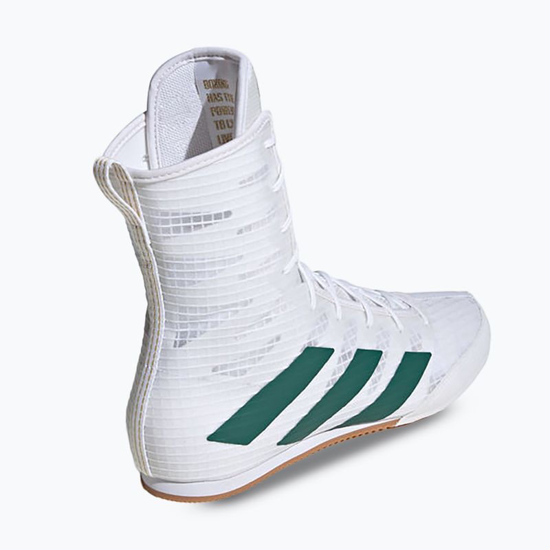 adidas Box Hog 4 Wolke weiß/collegiate grün/core schwarz Boxen Schuhe 2