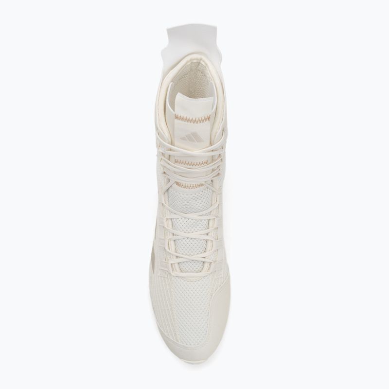 adidas Speedex 23 off weiß/beige/warm sandstone Boxschuhe 5