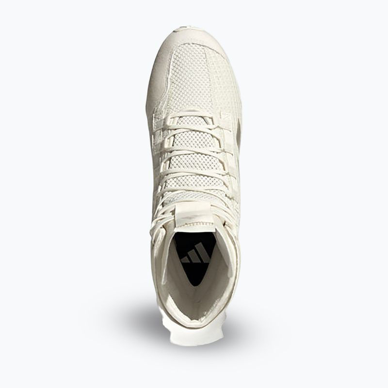 adidas Speedex 23 off weiß/beige/warm sandstone Boxschuhe 7