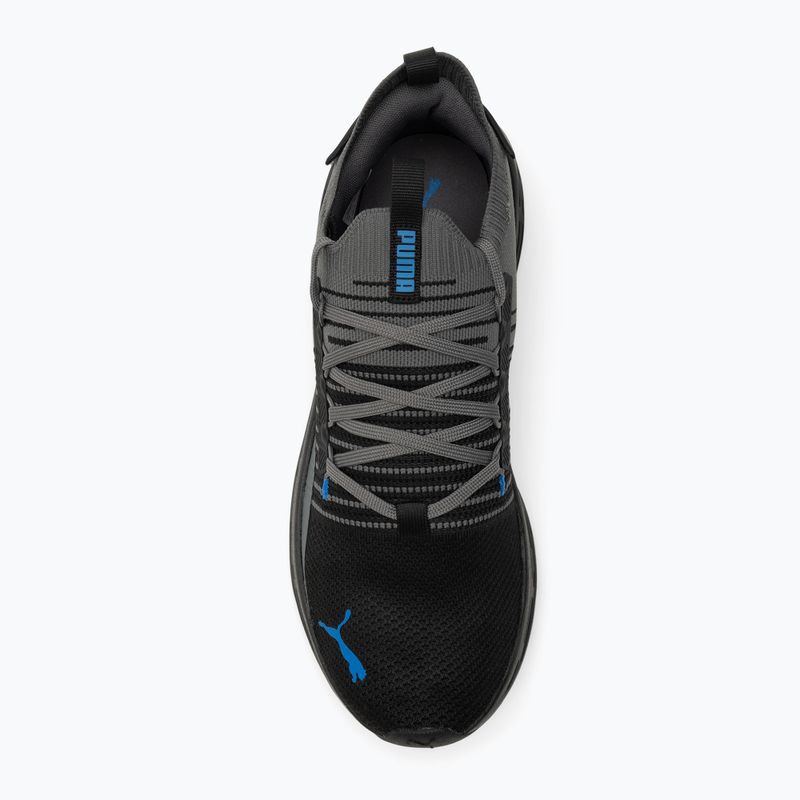 Laufschuhe PUMA Softride Symmetry Fuzion puma black/cool dark gray/puma team royal 5