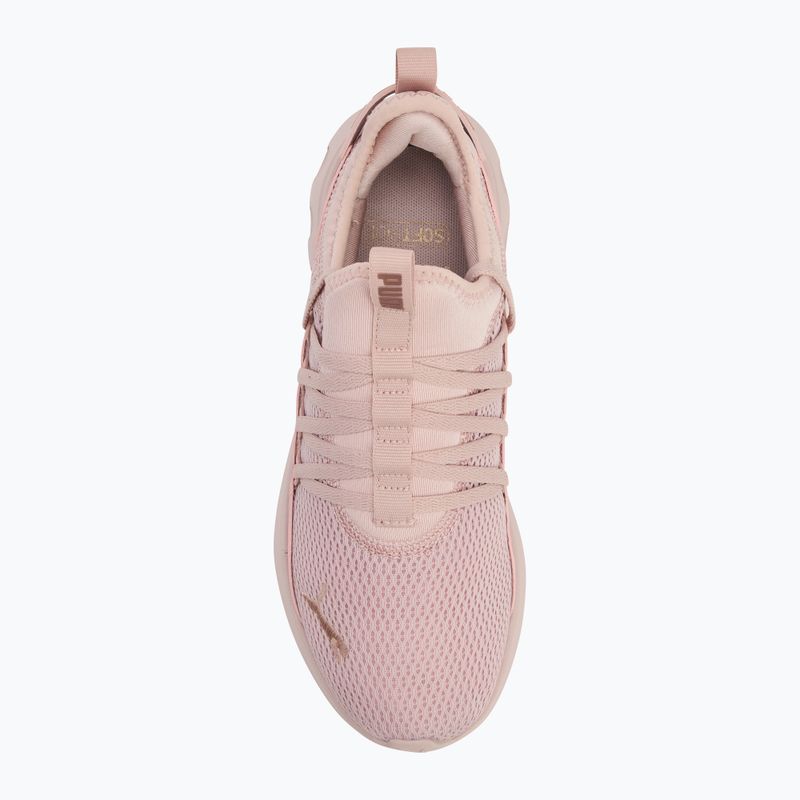 PUMA Softride Carson Fresh Laufschuhe mauve mist/rose gold 5